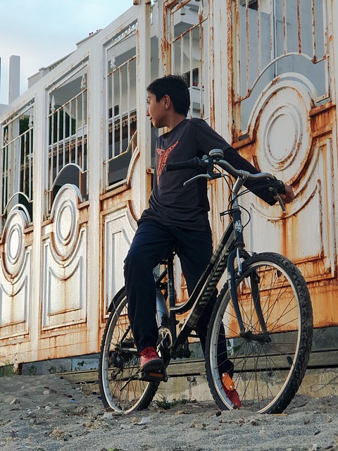 Boy Bicycle Beach - Free photo on Pixabay - Pixabay