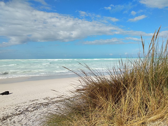 Plage De Sable Blanc Italie - Photo gratuite sur Pixabay - Pixabay