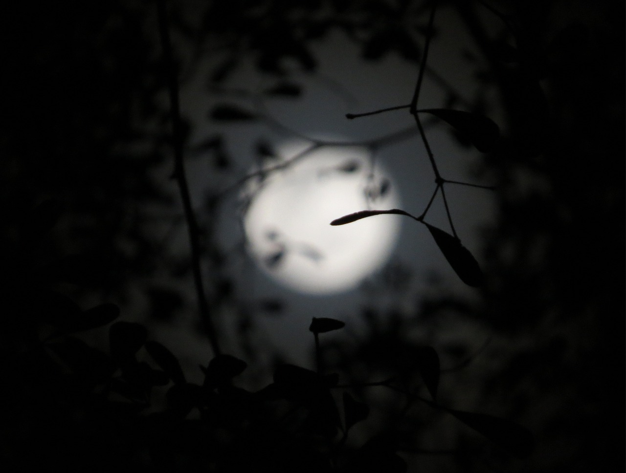 月亮 月神 夜晚 - Pixabay上的免费照片 - Pixabay