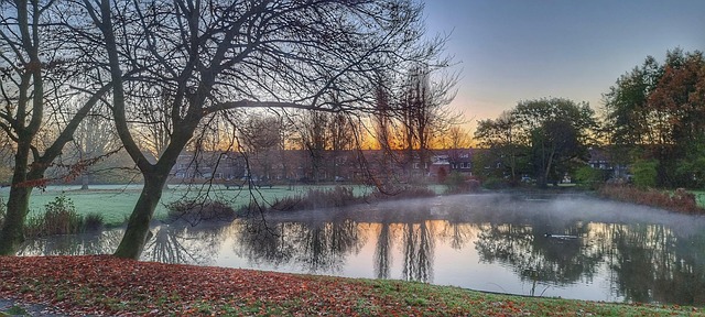 Natur, Herbst, Teich, Neblig, Sunrise
