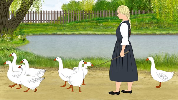 Gæs, Pige, Dam, Fugle, Waterfowls