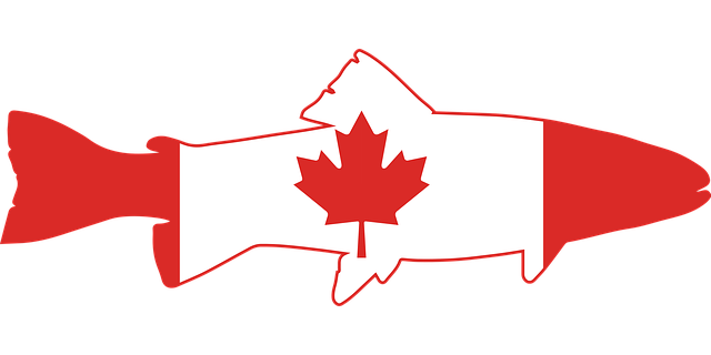 Truta, Canadá, Bandeira, País, Pesca