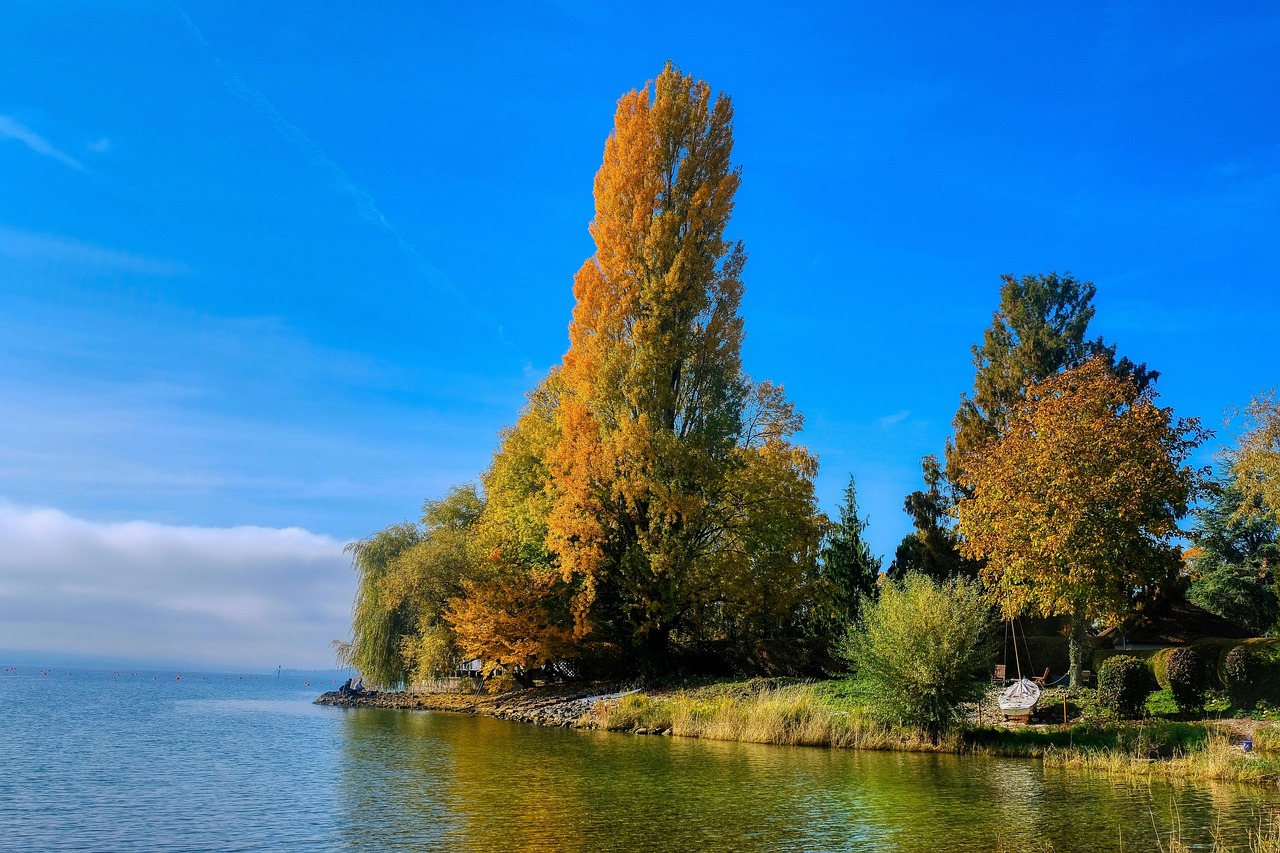 Lake Constance Autumn Free photo on Pixabay Pixabay