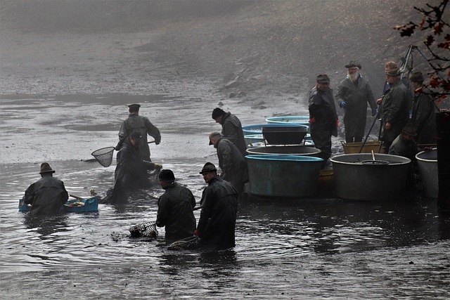 Free Fishermen River photo and picture