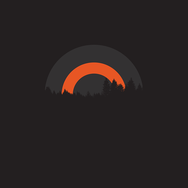 Eclipse, Floresta, Escuro, Sol, Lua