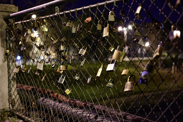 Free Locks Love Locks photo and picture