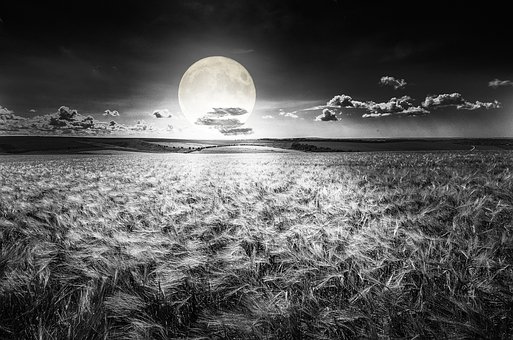 Free Moon Moonlight photo and picture