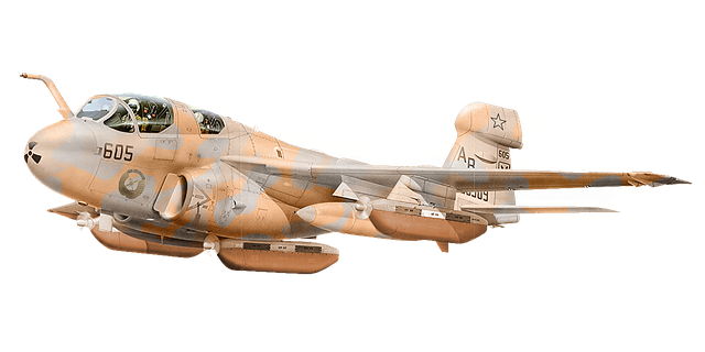 Free plane bombs mimetic illustration