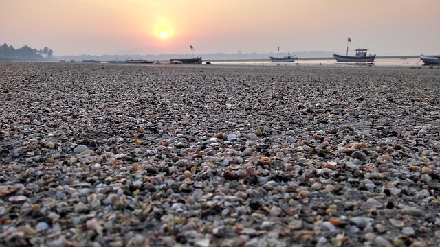 Free India Pebbles photo and picture