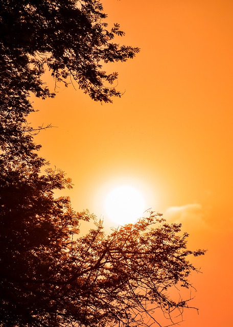 Natue, Paisaje, Atardecer, Cielo