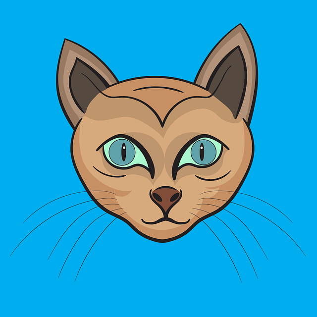 Free Cat Cat Drawing illustration and picture