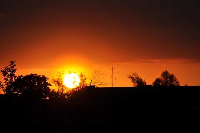 Free Sun Natue photo and picture