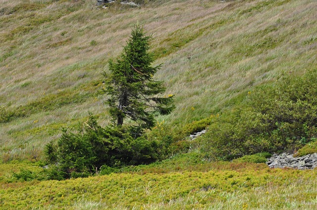 Free Mountain Hill photo and picture