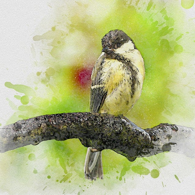 Free painting great tit bird illustration
