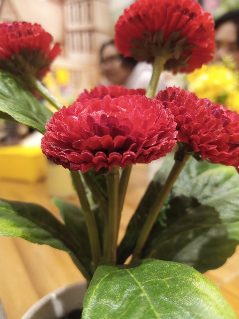 Free Flower Natural photo and picture