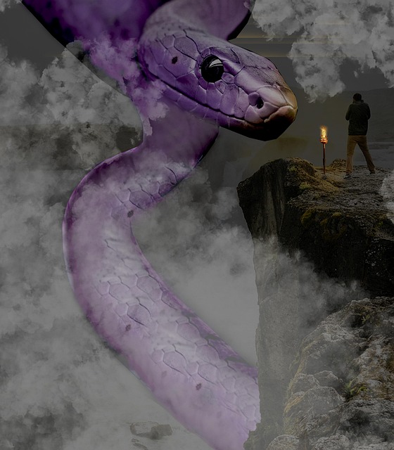 Free Snake Reptile photo and picture