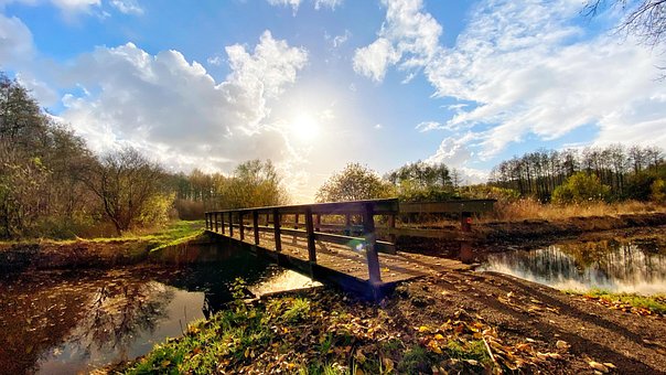 Herbst, Fluss, Brücke, Wald, Landschaft