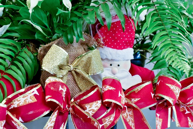 Papa Noel, Weihnachten, Winter