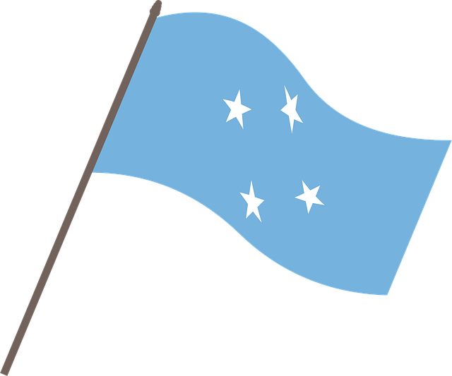 Free micronesia flag country vector
