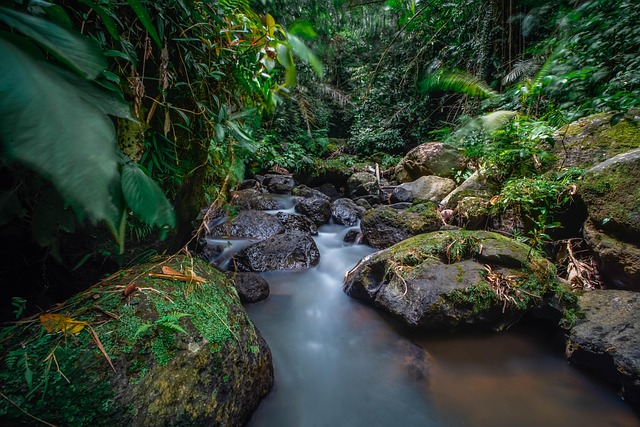 Download free HD stock image of River Stream Free River Stream photo and picture