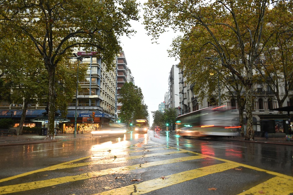 Darling Trees Street - Free photo on Pixabay - Pixabay