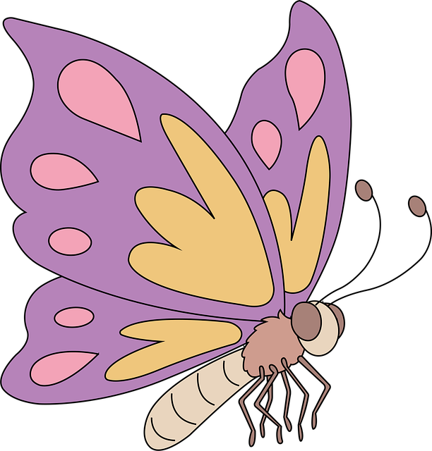 Free insect butterfly entomology vector