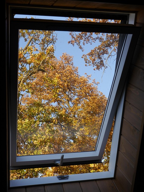 Free Window Autumn photo and picture