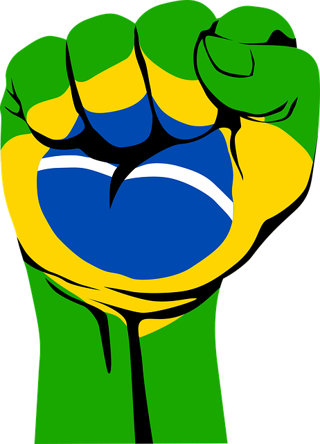 Free hand fist flag vector