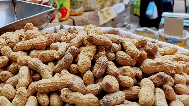 Free Peanuts Nuts photo and picture