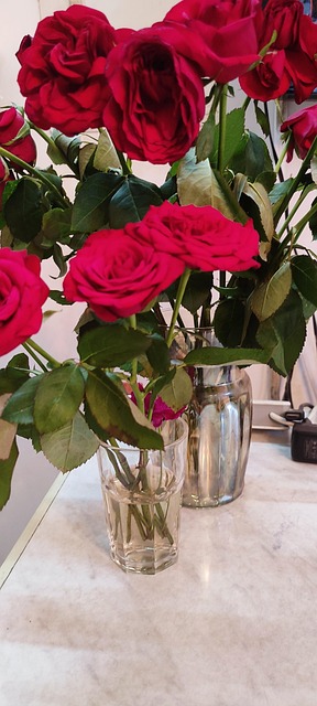 Blommor Rosor Röda Gäng - Gratis foto på Pixabay - Pixabay