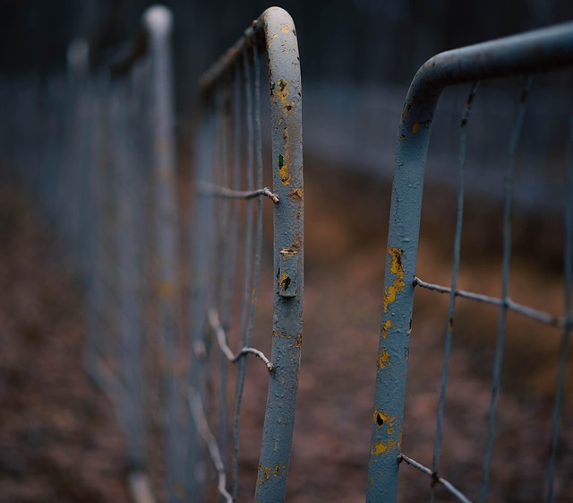 Free Hedge Fence photo and picture