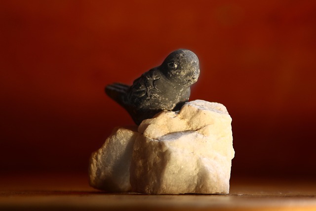 Pájaro, Arte, Diseño, Ornamento