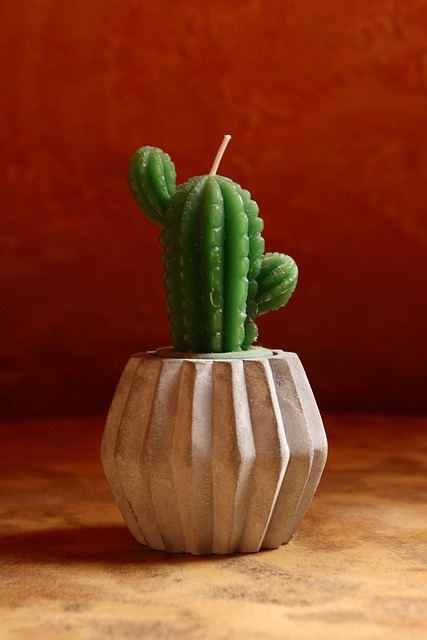 Cactus, Decoración, Ornamento, Arte