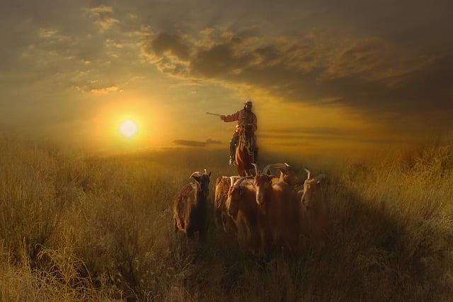 Vaquero, Atardecer, Rebaño, Cabras