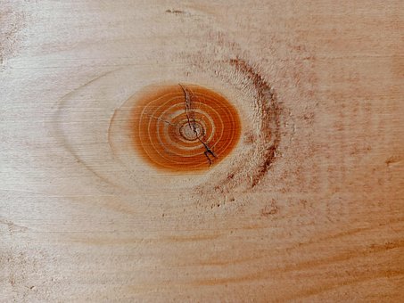 Free Wood Knot photo and picture