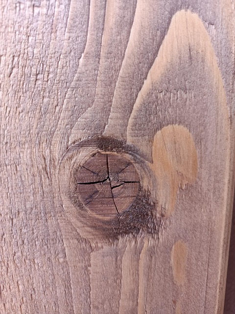 Free Wood Knot photo and picture