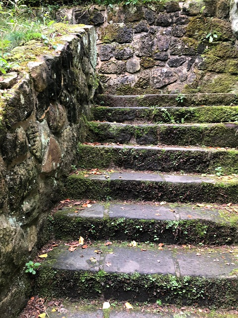 Free Stairs Antique photo and picture