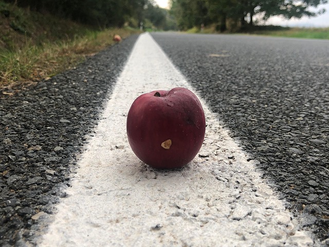 Free Apple The Road photo and picture