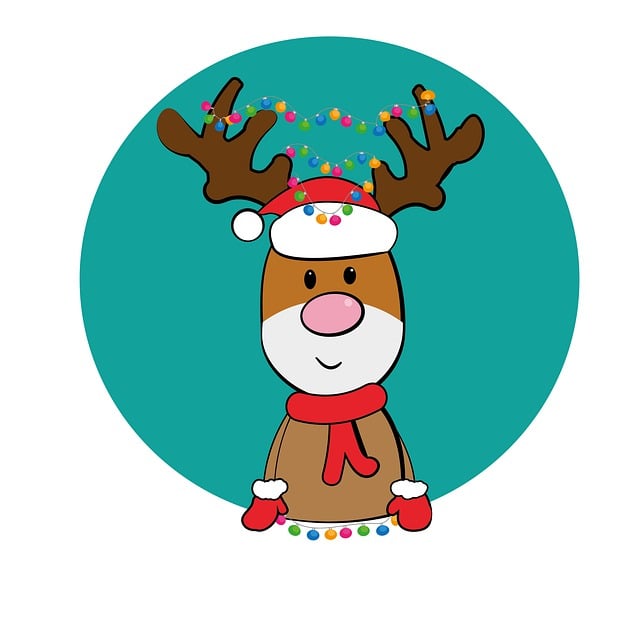 Reno, Navidad, Motivo De La Navidad