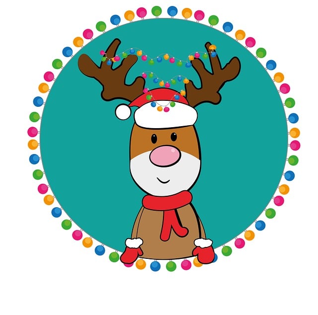Reno, Navidad, Motivo De La Navidad