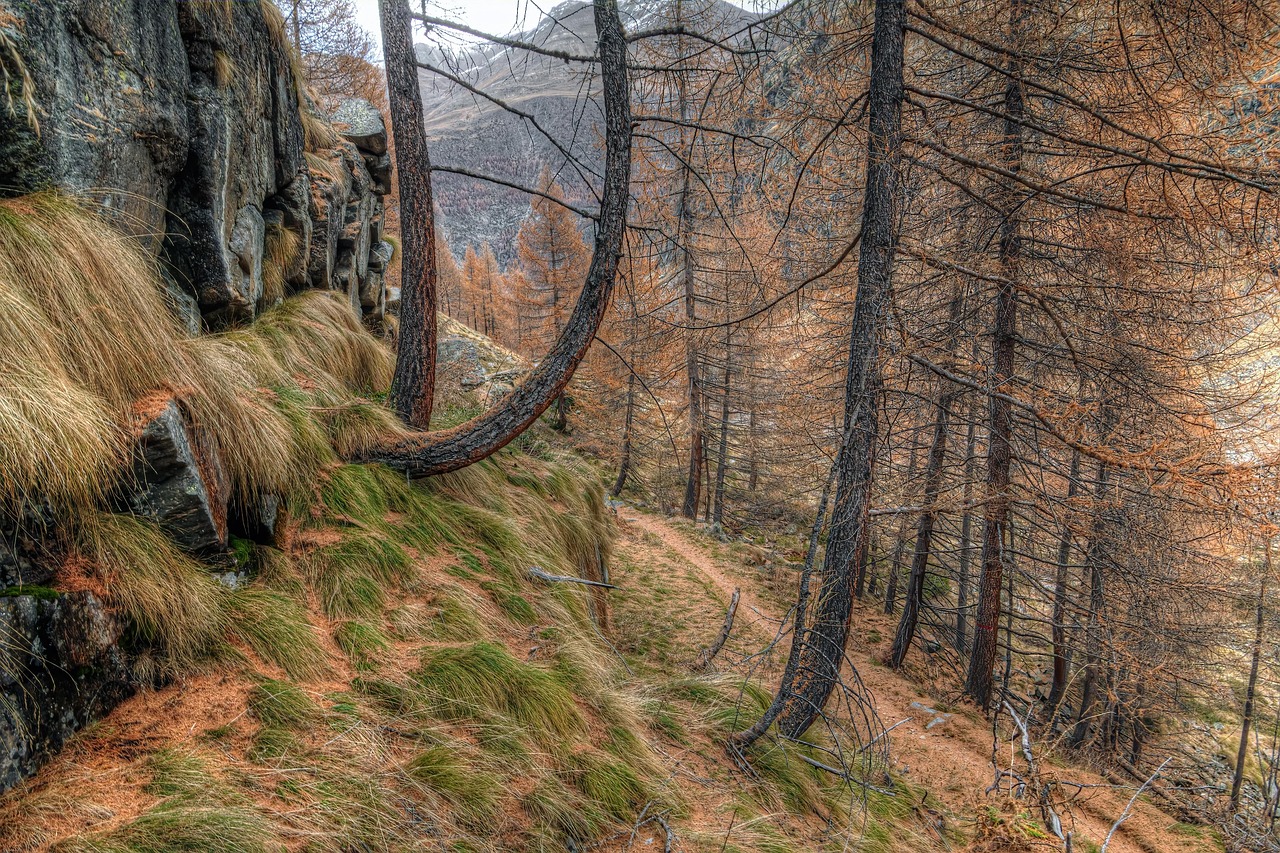 Mountain - free online jigsaw puzzle photo
