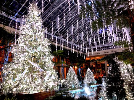 Free Christmas Xmas photo and picture