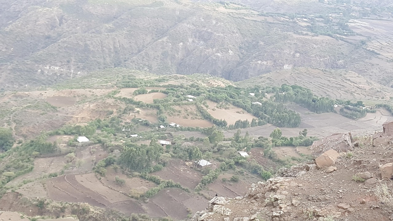ARE WOLLO PEOPLE OROMO OR AMHARA BECAUSE THEY CAN T BE BOTH visual data 4