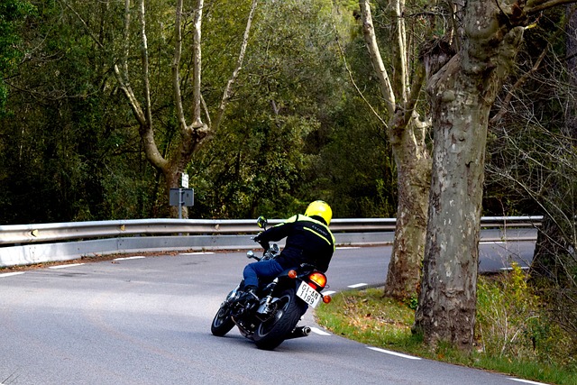 Motorrad, Biker, Ein Motorrad Fahren