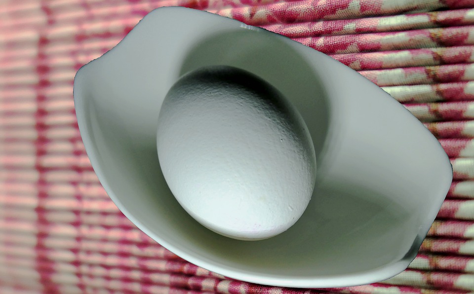 계란 암탉의 알 아침 달걀 - Pixabay의 무료 이미지
