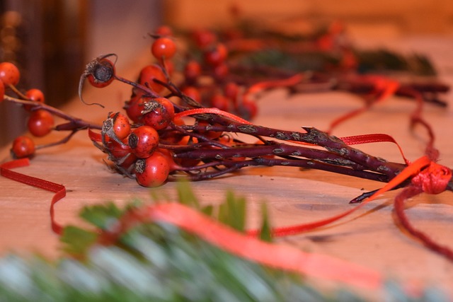 Free Rose Hips Branches photo and picture