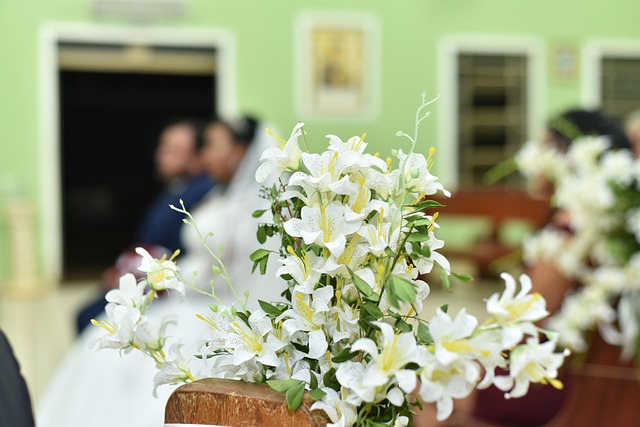 Weiße Blume, Flor Branca, Weiß, Flor
