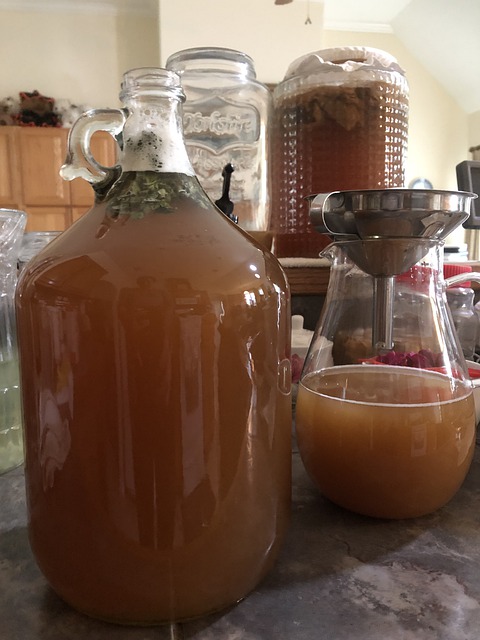 Free Kombucha Tea illustration and picture