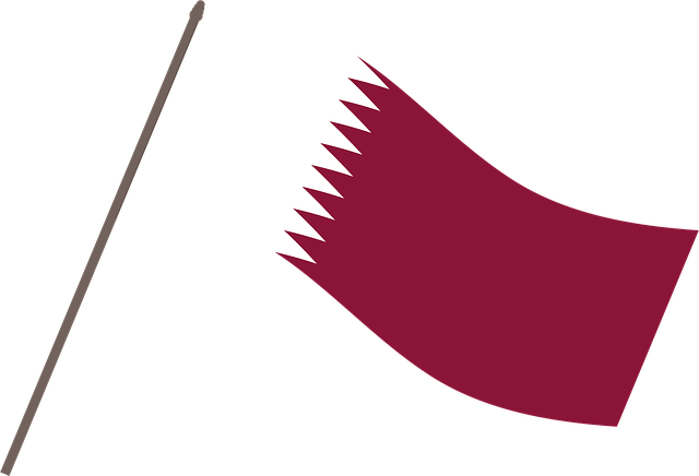 Free runny nose flag country vector