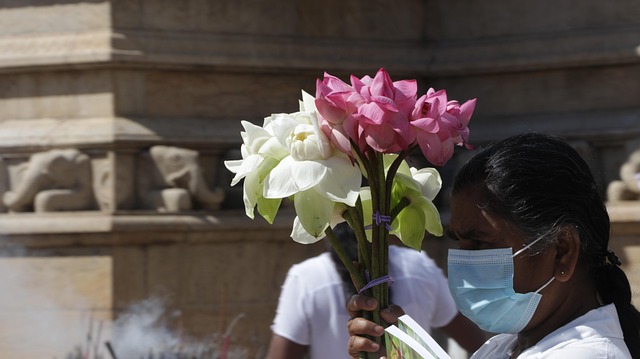 Lotus, Sri Lanka, Anuradhapura, Buddha